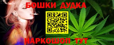 apvp Краснодар