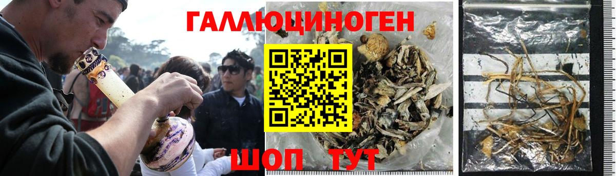 Псилоцибиновые грибы GOLDEN TEACHER  Вход с VPN  Комсомольск-на-Амуре 